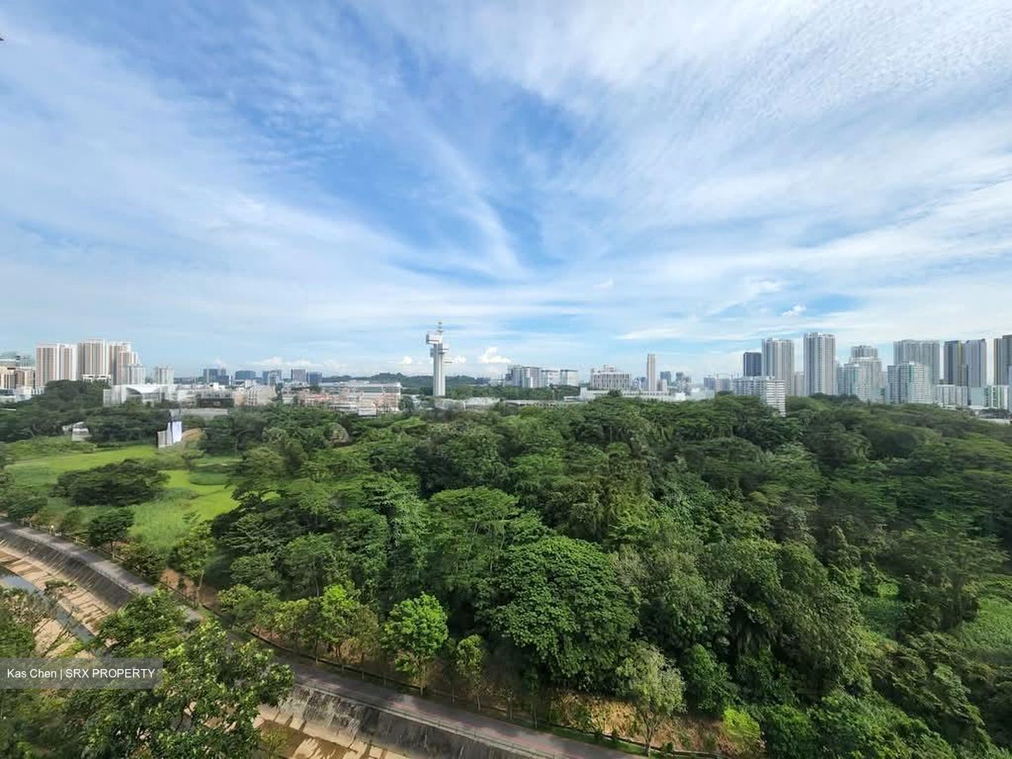 Leighwoods (D10), Condominium #563945851